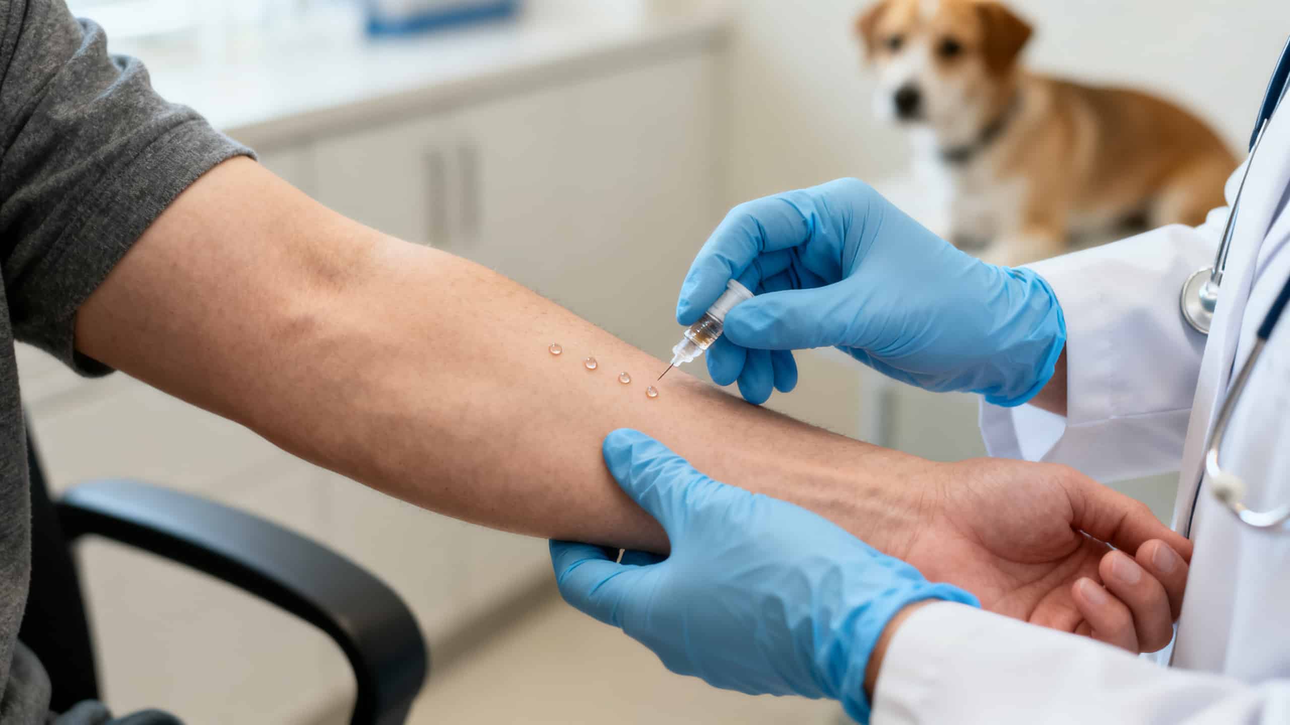 Allergologue effectuant des prick-tests pour allergie au chien